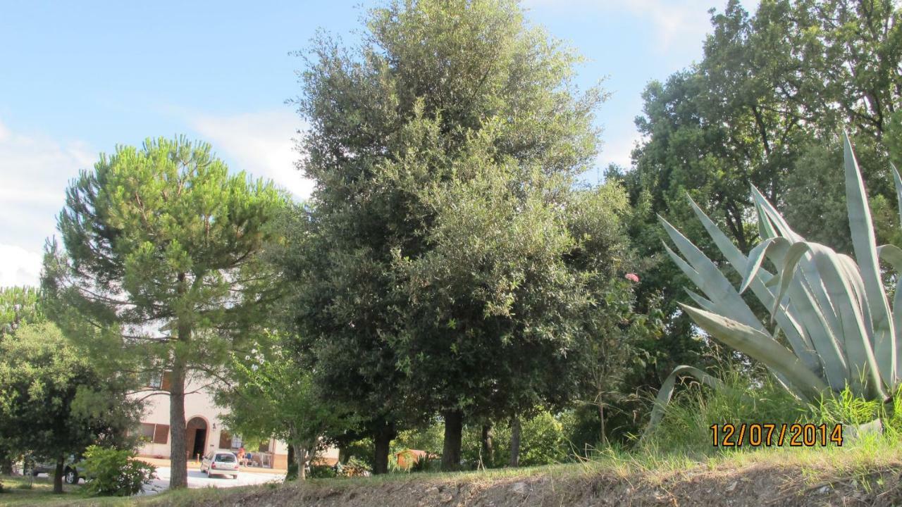 Locanda San Marino Al Coppo Monte Grimano Terme Εξωτερικό φωτογραφία